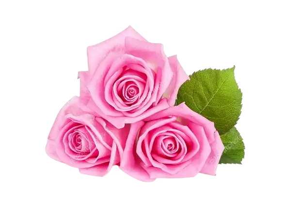 Ahmed Halil Akresh Al Fadani Al Anzi Factory for Manufacturing